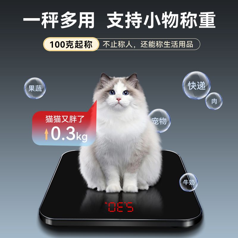 T608体重秤